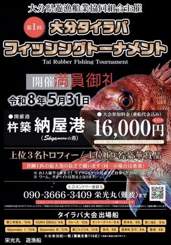 マダイの釣果