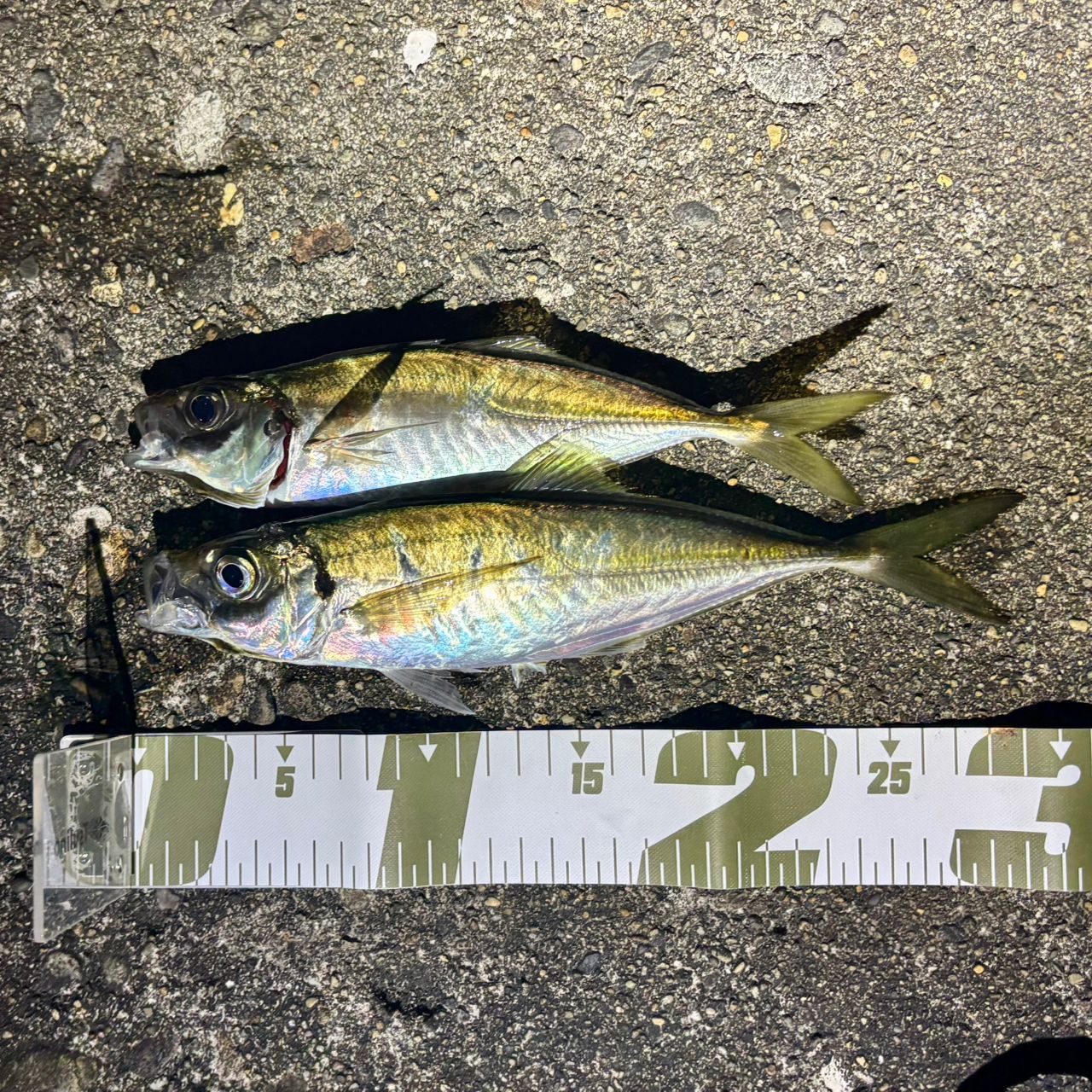 SHIMANO 22ソアレ SS アジング S54SUL-Sの最安値・インプレ・釣果
