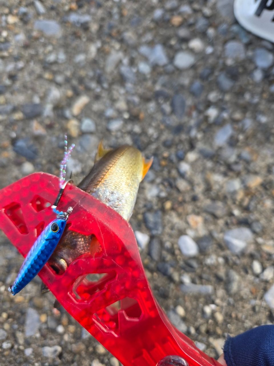 SHIMANO 17ソアレ CI4+ アジング S608UL-Sの最安値・インプレ・釣果