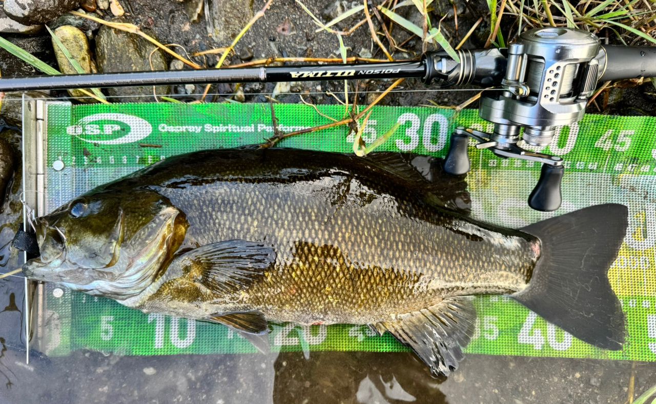 SHIMANO 23カルカッタコンクエスト BFS XG LEFTの最安値・インプレ