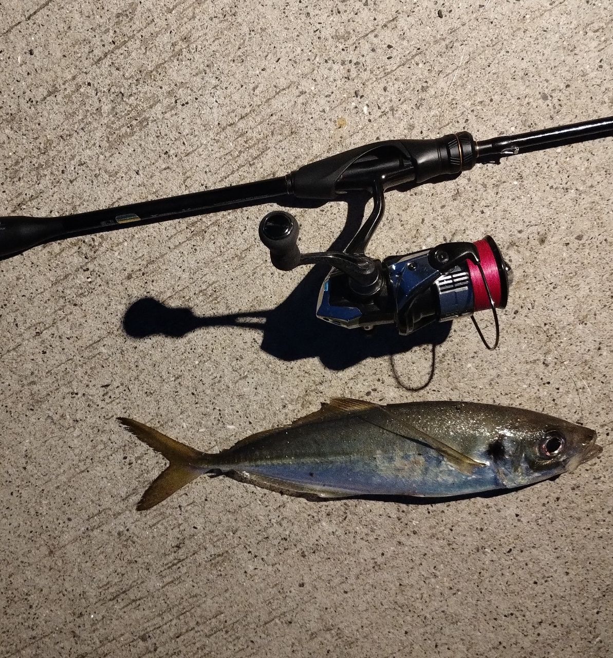 SHIMANO 21ソアレXR S68UL-Sの最安値・インプレ・釣果 | 本音の口コミ