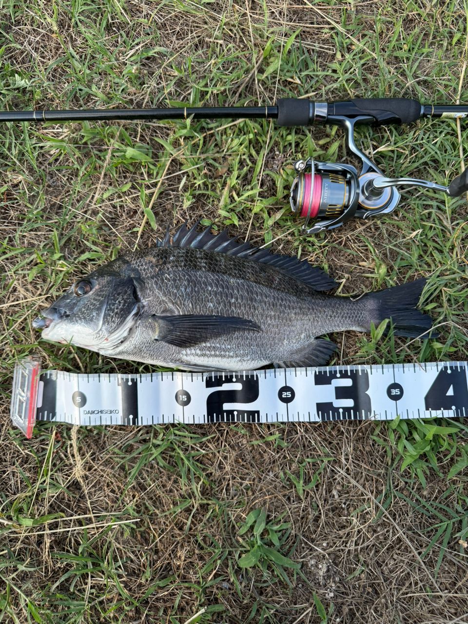 DAIWA 23エアリティ PC LT2500-Hの最安値・インプレ・釣果 | 本音の