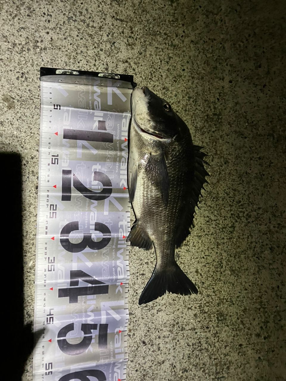 DAIWA 21ラブラックス AGS 100MLの最安値・インプレ・釣果 | 本音の
