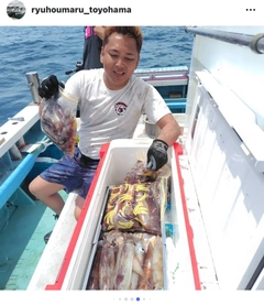 スルメイカの釣果