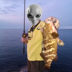 アコウの釣果