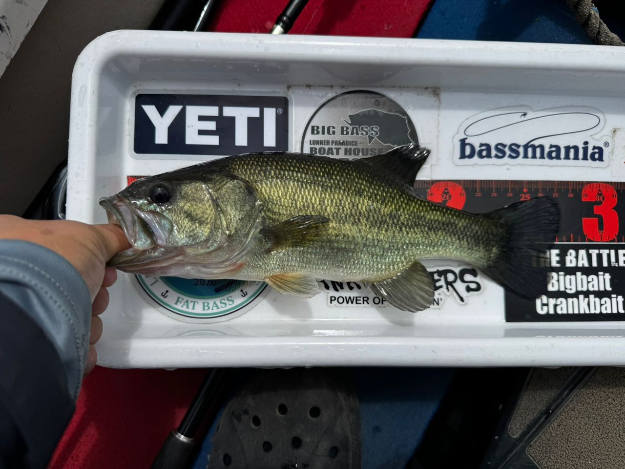 bassfishing_mst さんの 2026年06月06日のブラックバスの釣り・釣果