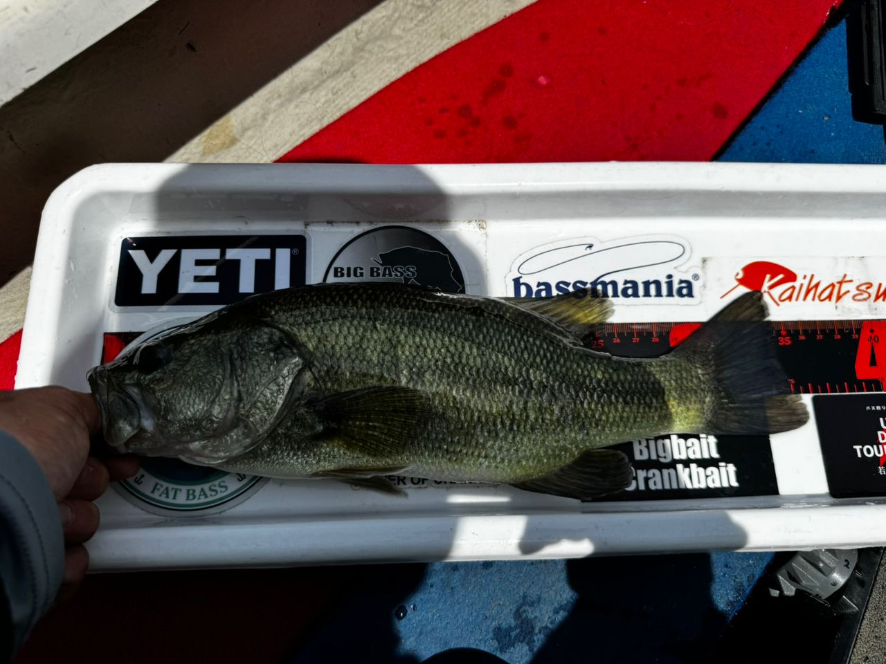 bassfishing_mst さんの 2026年06月06日のブラックバスの釣り・釣果