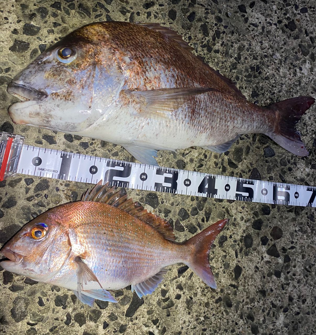 DAIWA 21オーバーゼア グランデ（サーフモデル） 1010M/MHの最安値