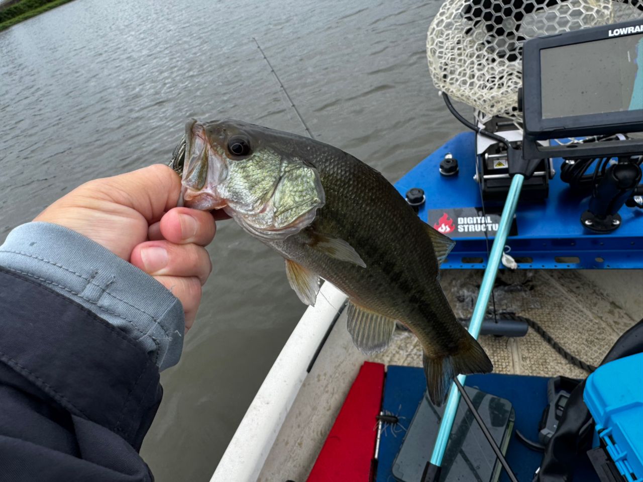 bassfishing_mst さんの 2026年06月07日のブラックバスの釣り・釣果