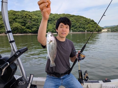 イシモチの釣果