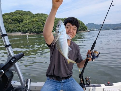 アオアジの釣果