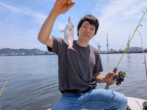 チダイの釣果