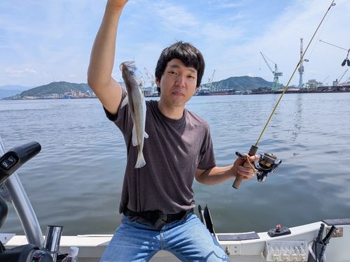 イシモチの釣果