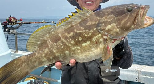 クエの釣果
