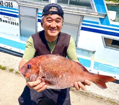 マダイの釣果