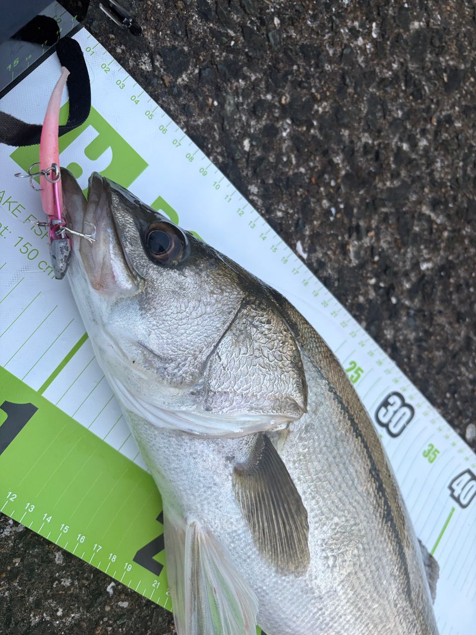 DAIWA 21ラブラックス AGS 93MLの最安値・インプレ・釣果 | 本音の