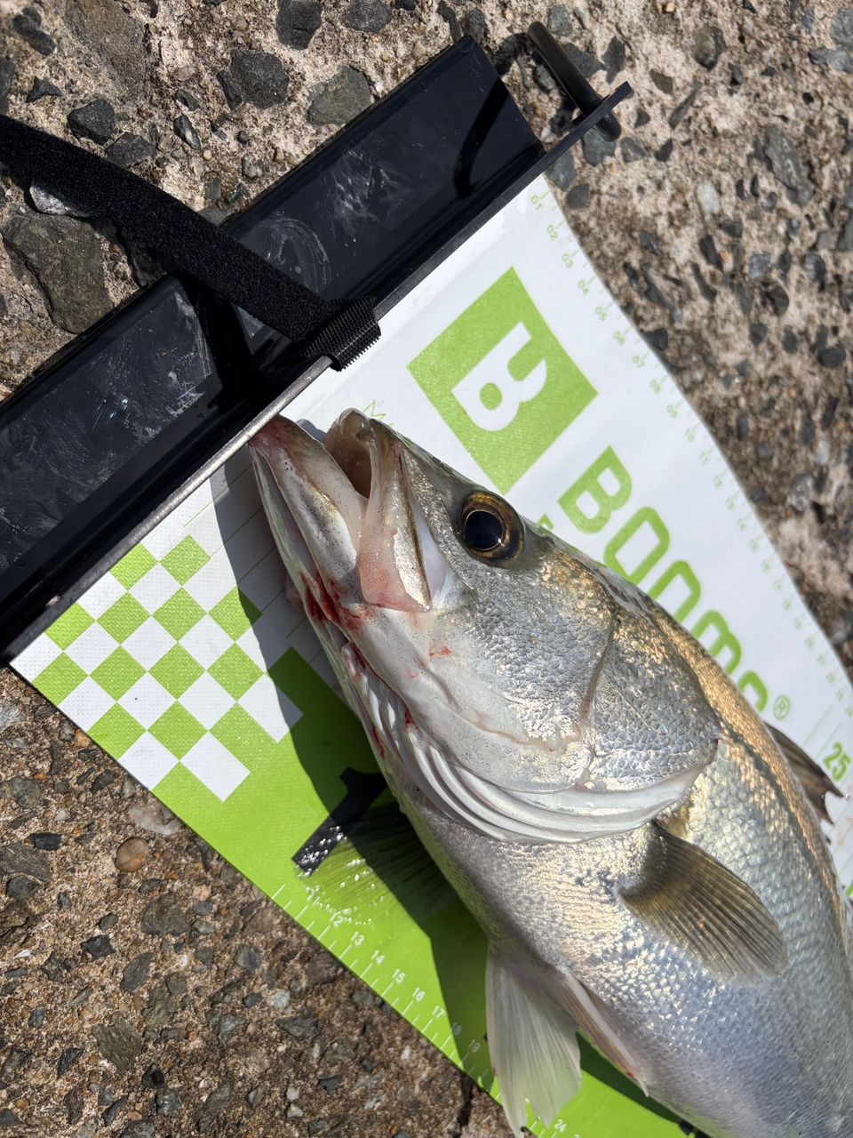 DAIWA 21ラブラックス AGS 93MLの最安値・インプレ・釣果 | 本音の