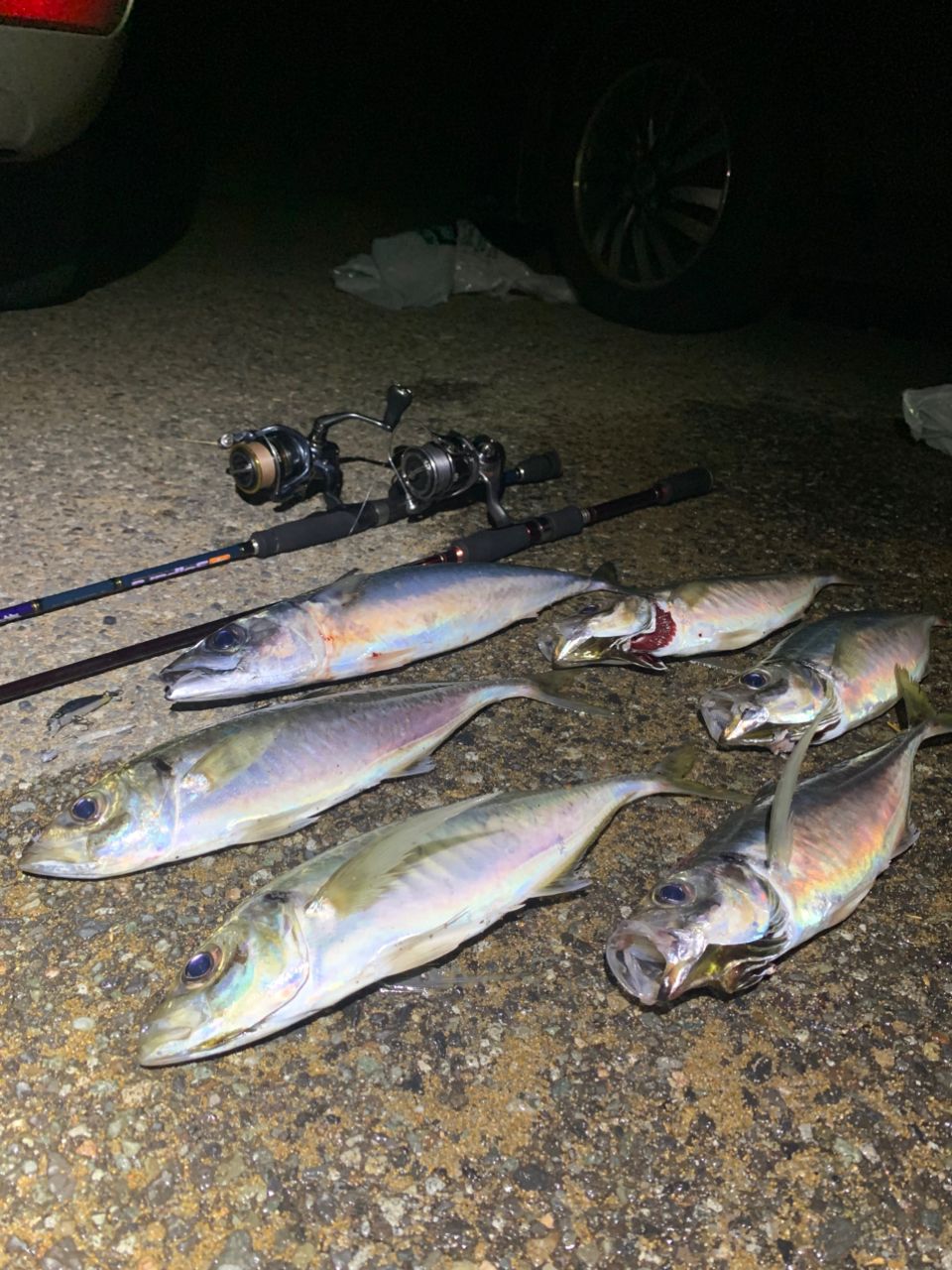 SHIMANO 21アルテグラ C2000Sの最安値・インプレ・釣果 | 本音の口コミ