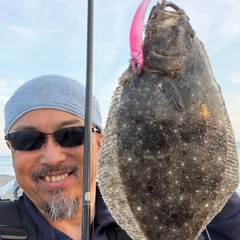 ヒラメの釣果