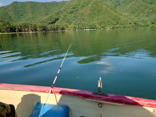 ワカサギの釣果