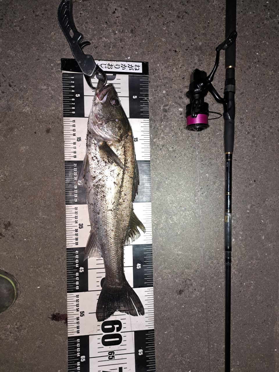 DAIWA 22ルアーニスト モバイル 96MH-4の最安値・インプレ・釣果
