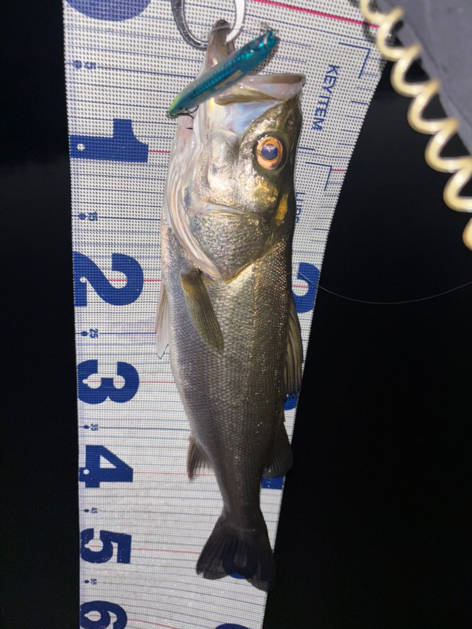 DAIWA 21モアザン ブランジーノ EX AGS 94MLの最安値・インプレ・釣果