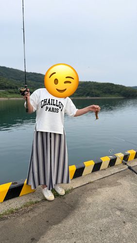 キジハタの釣果