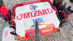 マアジの釣果