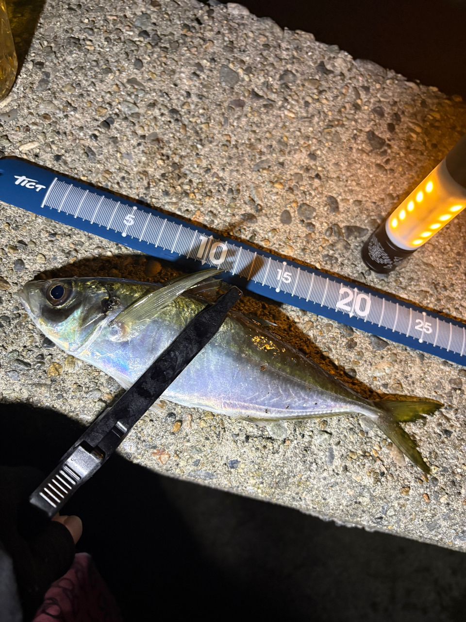 AbuGarcia エラディケーター リアルフィネス プロトタイプ ERFS-51Pro