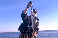 サゴシの釣果