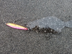 ソゲの釣果