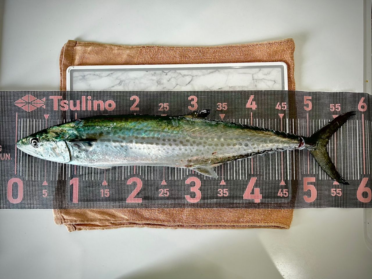 AbuGarcia ソルティーステージ KR-X ライトジギング SXLC-632-150-KRの