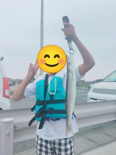アカカマスの釣果