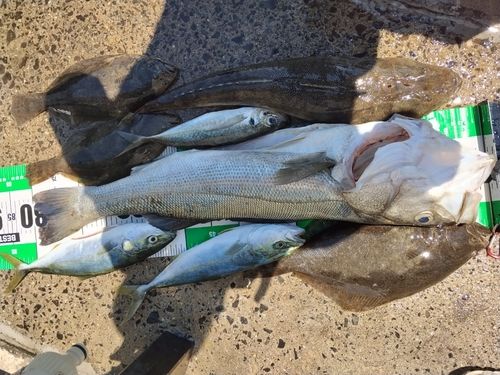 釣果