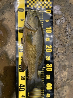 スモールマウスバスの釣果