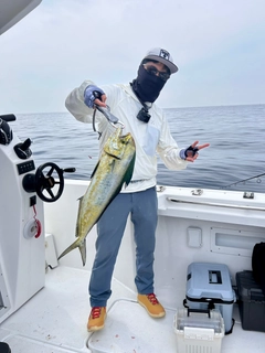 シイラの釣果