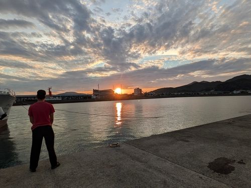 イカの釣果