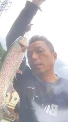 ニジマスの釣果