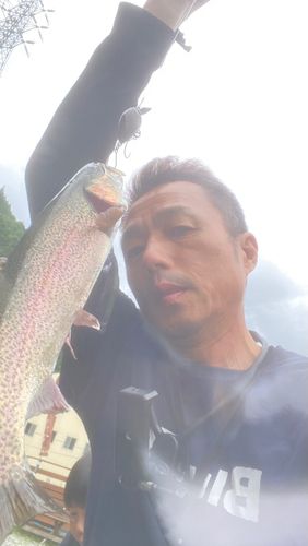 ニジマスの釣果