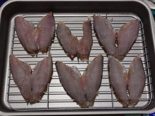 ソイの釣果