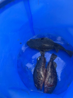 釣果