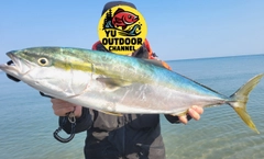 ワラサの釣果