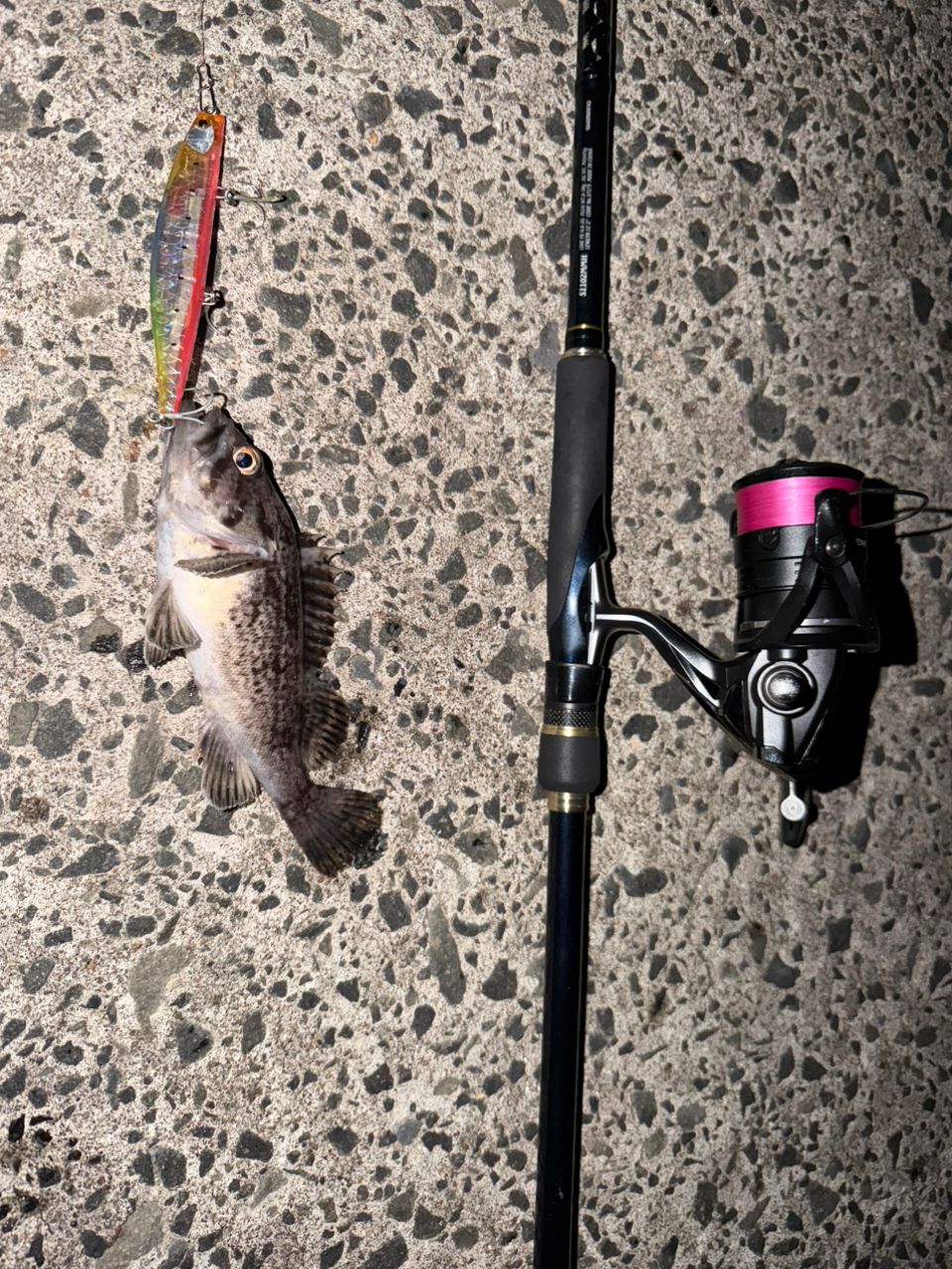 SHIMANO ネッサ CI4+ S1102MMHの最安値・インプレ・釣果 | 本音の