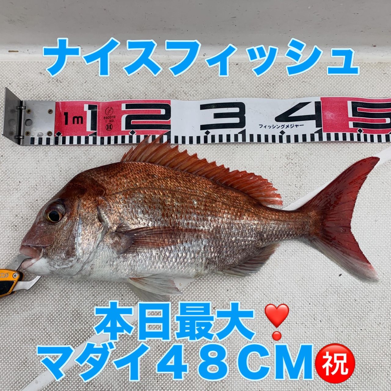 DAIWA 18紅牙 IC 100PL-RMの最安値・インプレ・釣果 | 本音の口コミが