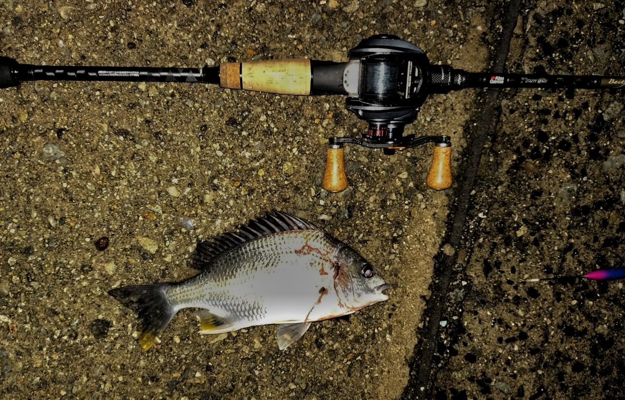 AbuGarcia ソルティーステージ・KR-X・ベイトフィネスカスタム SBFC