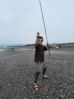 キスの釣果