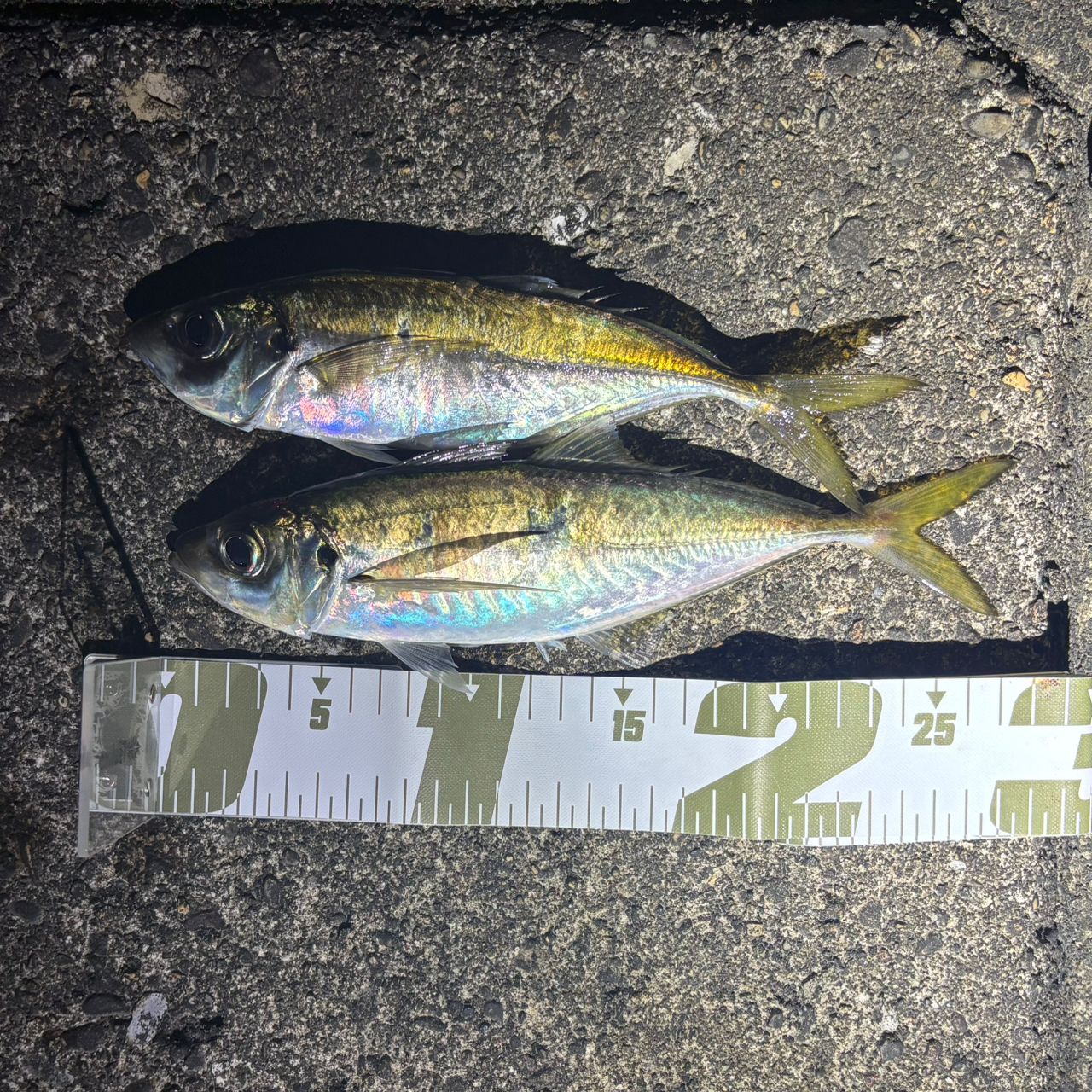 SHIMANO 22ソアレ SS アジング S54SUL-Sの最安値・インプレ・釣果