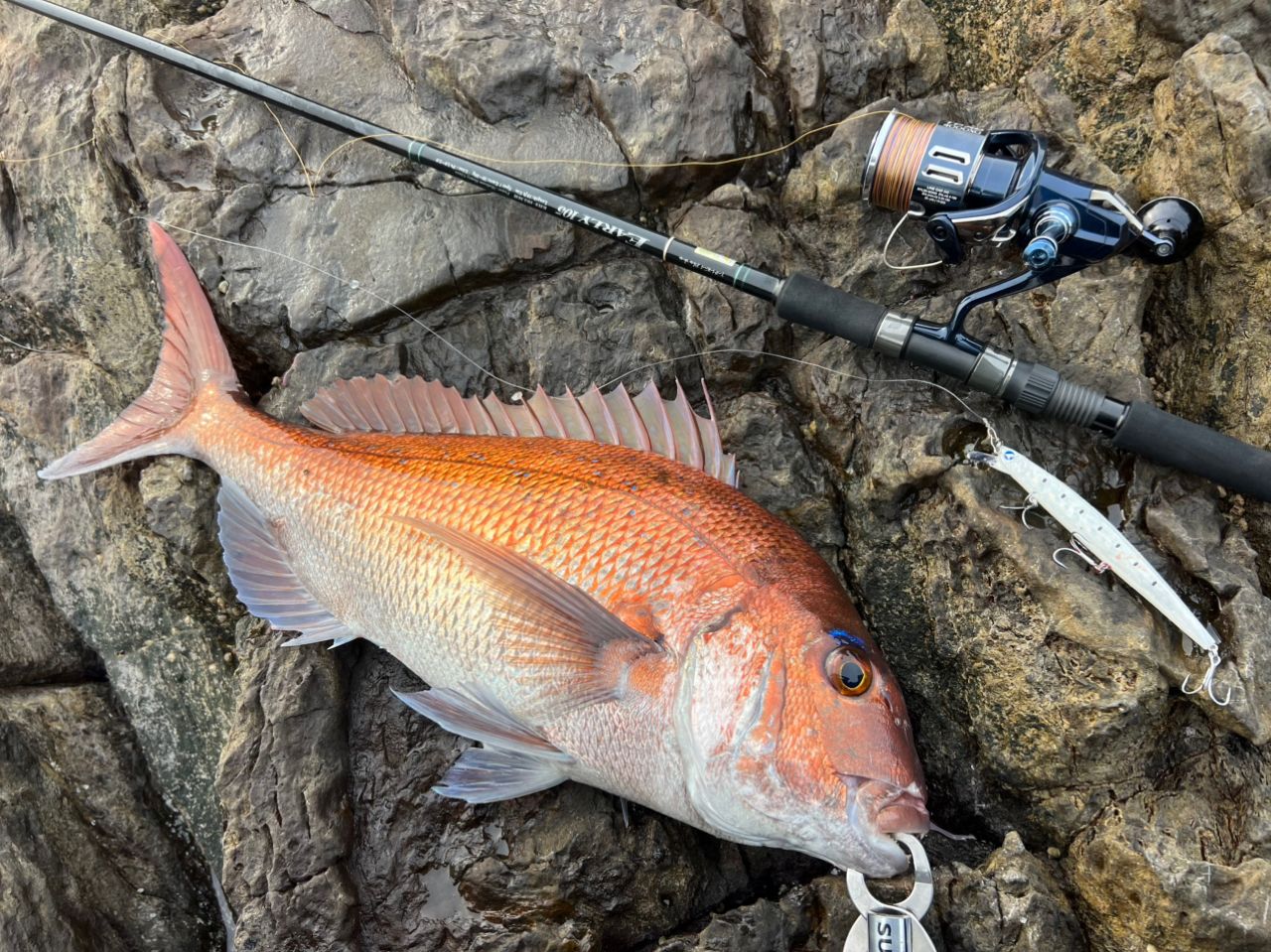 YAMAGA Blanks アーリー・フォーサーフ 105MHの最安値・インプレ・釣果