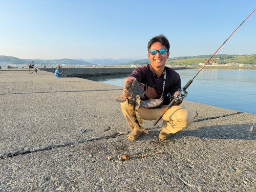 コマイの釣果
