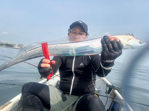 タチウオの釣果